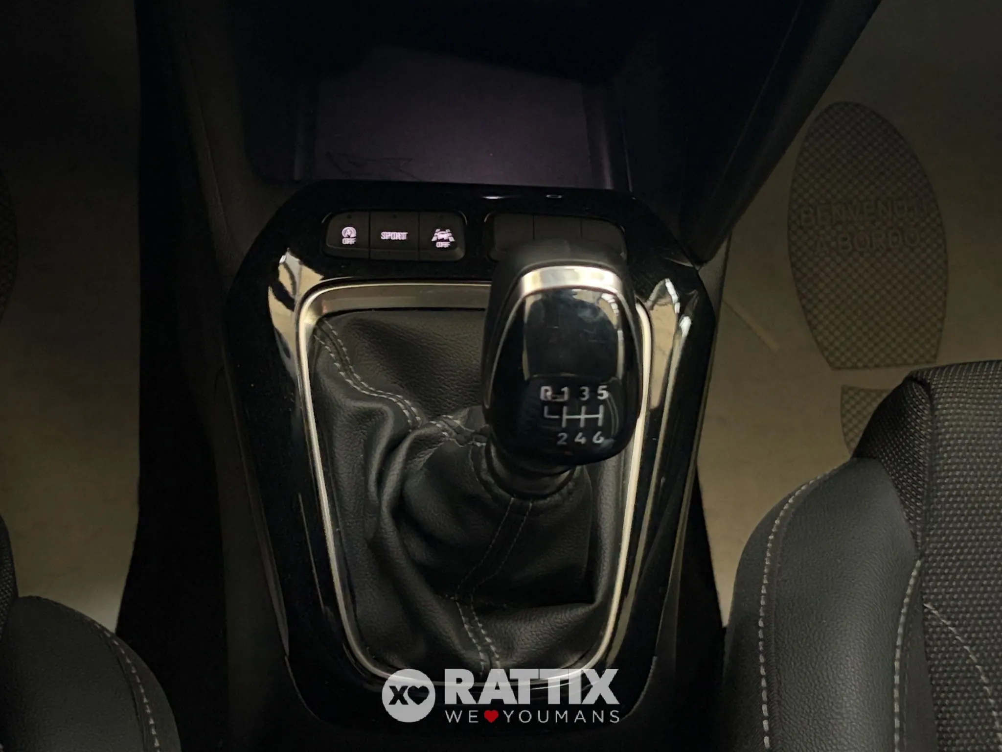 gallery-f80q4n.jpeg